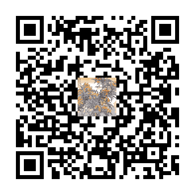 待添加