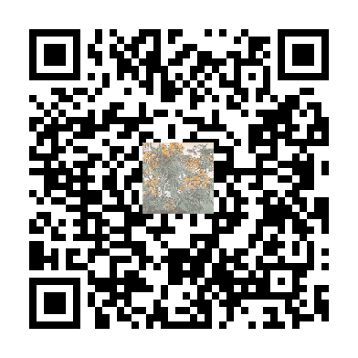 待添加