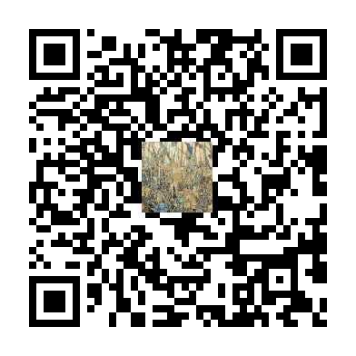 待添加