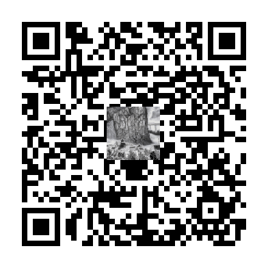 待添加