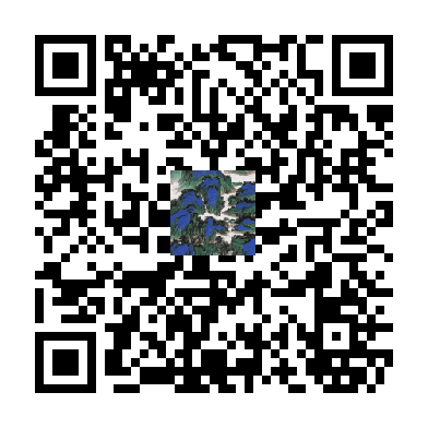 待添加